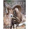 Image 3 : Wild Sheep Foundation Life Membership