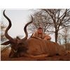 Image 3 : Cape Buffalo Cow & Plains Game African Safari with Trompettersfontein Safaris