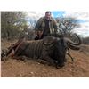 Image 4 : Cape Buffalo Cow & Plains Game African Safari with Trompettersfontein Safaris