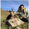Image 2 : 3-day Spain Cantabarian Chamois Hunt with Herederos Hunting Co. - Spain is OPEN