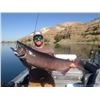 Image 3 : 1-day, 4 person Snake River/Hells Canyon Fishing with Northwest Fishing Expeditions