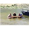 Image 4 : 1-day, 4 person Snake River/Hells Canyon Fishing with Northwest Fishing Expeditions