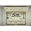 Image 1 : VINTAGE STOCK CERTIFICATE WASHINGTON GAS LIGHT