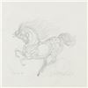 Image 2 : Guillaume Azoulay, "Sketch BA" Framed Original Pencil Drawing, Hand Signed with