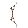 Image 1 : Oneida Eagle Compound Bow Signed by Ted Nugent