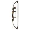 Image 2 : 1978 Custom Fred Bear Compound Bow Signed