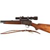 Image 4 : Ted Nugent's Model 63-22 .22 Rifle w/scope