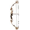 Image 1 : Ted Nugent's Custom Renegade NugeBow Compound Bow