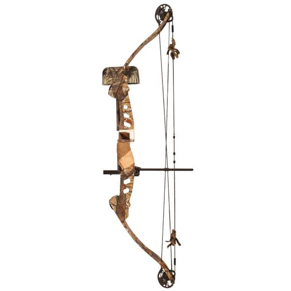 Ted Nugent's Browning Blood Brother Bow