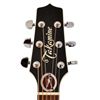 Image 2 : Ted Nugent's Toby Keith Autographed B4MH Guitar