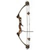 Image 1 : Ted Nugent's Martin Speed Demon Compound Bow
