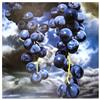 Image 1 : Grapes #1505709