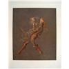 Image 1 : Colorful Fini The Embrace #1505937