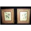 Image 1 : Pair of Antique French Mini- Botanicals #1541990