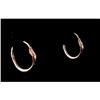 Image 1 : Pair of Antique Rose Gold Snake Hoop Earrings #1551352