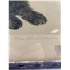 Image 3 : Nice Framed Etching Scotty Dogs, 16"x12", Signed By German Artist Meta Plucke Bauh