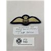Image 1 : WW2 RAF Pilot Brevet (Padded) Wings, British