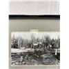 Image 2 : Nicely Framed Photo 15"x12" Late 1880's/90's Municipal Workers Moving Tree Royal Oak Avenue, Burnaby