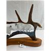 Image 3 : Very Nicely Made Moose Antler Carving Professionally Made