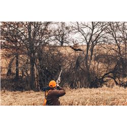HERITAGE 1865: 2-Day/3-Night Premium Upland Bird Hunt for Two Hunters in Iowa
