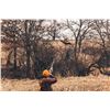 Image 1 : HERITAGE 1865: 2-Day/3-Night Premium Upland Bird Hunt for Two Hunters in Iowa