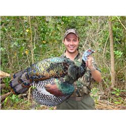 BALAM: 7-Day Campeche Jungle Hunt for Two Hunters in Mexico - Includes Trophy Fees