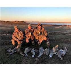 SAFARI UNLIMITED: 3-Day/3-Night Sandhill Crane Hunt for Eight Hunters in West Texas