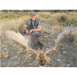 CAZATUR SPAIN: 4-Day Spanish Red Deer or Fallow Deer Hunt for Two Hunters in Spain - Includes Trophy