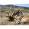 Image 1 : WHITE PEAKS: 3-Day Rocky Mountain Elk Hunt for One Hunter and One Non-Hunter in Idaho - Includes Tro