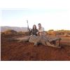 Image 1 : MABULA PRO: 7-Day Crocodile Hunt for Two Hunters in South Africa - Includes Trophy Fees