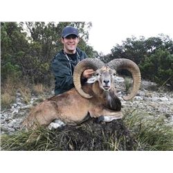 TEXAS DIVIDE: 2-Day Exotic Species Hunt for One Hunter in Texas - Includes Trophy Fees