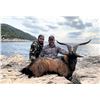 Image 1 : SAFARI INTL: 5-Day Hybrid Kri-Kri Ibex Hunt for One Hunter and One Non-Hunter in Macedonia - Include