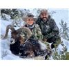 Image 1 : TROPHY HUNT SPAIN: 4-Day Iberian Mouflon Sheep Hunt for One Hunter and One Non-Hunter in Spain - Inc