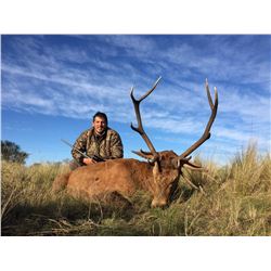 CAZAPAMPA: 4-Day Red Stag Hunt for Two Hunters in Argentina - Includes Trophy Fees