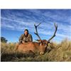 Image 1 : CAZAPAMPA: 4-Day Red Stag Hunt for Two Hunters in Argentina - Includes Trophy Fees