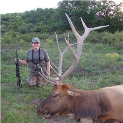 NORTH RIM TROPHY: 4-Day Rocky Mountain Elk Hunt for One Hunter and One Non-Hunter in Colorado - Incl