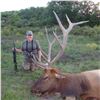 Image 1 : NORTH RIM TROPHY: 4-Day Rocky Mountain Elk Hunt for One Hunter and One Non-Hunter in Colorado - Incl