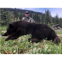 BIG TIME HUNTS: 6-Day Black Bear Hunt for One Hunter in B.C., Canada - Includes Any Size Bear