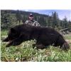 Image 1 : BIG TIME HUNTS: 6-Day Black Bear Hunt for One Hunter in B.C., Canada - Includes Any Size Bear