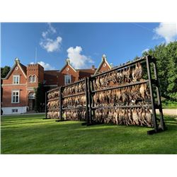 SCANDINAVIAN PROHUNTERS: 3-Day Mixed Bag Wingshooting Adventure for Two Hunters and Two Non-Hunters