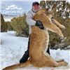 Image 1 : 5-Day Mountain Lion Hunt