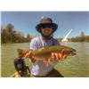 Image 2 : 2 day Fly Fishing Trip for 2 people on the Sacramento River.