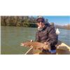 Image 3 : 2 day Fly Fishing Trip for 2 people on the Sacramento River.
