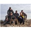 Image 6 : Nevada Heritage Desert Nelson Bighorn Sheep Tag