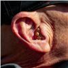 Image 17 : Tactical Hearing Custom Hearing Device