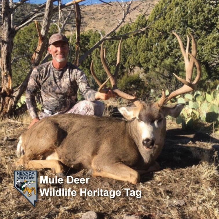 Heritage Mule Deer Tag