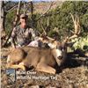 Image 1 : Heritage Mule Deer Tag