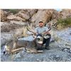 Image 2 : Heritage Mule Deer Tag