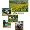 Image 1 : Summer Horse Pack for 2 in the Jarbridge Wilderness