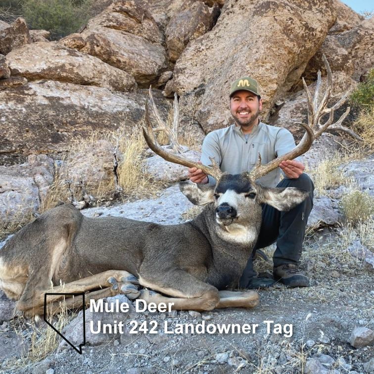 Nevada Unit 242 Landowner Deer Tag nevada-unit-242-landowner-deer-tag